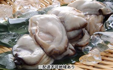 秀栄水産　瀬戸内の 牡蠣 （むき身 700g） 海の幸 海のミルク 海鮮 貝 岡山県 瀬戸内市 虫明湾