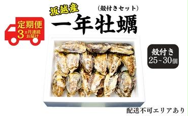  定期便 牡蠣 坂越かき 生食用 殻付き (25個～30個)牡蠣ナイフ付き【12月～2月(3ヶ月連続)お届け】 冬牡蠣 かき カキ