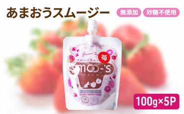 スムージー 100g×5P 福岡県産 あまおう いちご 無添加 砂糖不使用 イチゴ 苺 パウチ