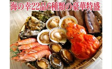 バーベキュー 豪華特盛 海の幸 BBQ セット 6種22品 2.5kg 海鮮セット 大人気