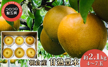梨 豊水 まるで食べる梨ジュース！！ 甘熟 豊水梨 約2.1kg 4～7玉入 配送不可 離島