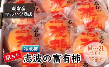 訳あり 柿 冷蔵柿 志波の富有柿 M～2Lサイズ×12個入 マルハツ商店 配送不可：離島