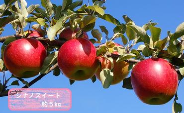 信州小諸・福井りんご園のシナノスイート 秀品 約5kg 果物類 林檎 りんご リンゴ シナノスイート
