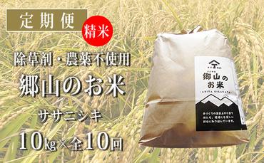 秋田県産ササニシキ（精米）郷山のお米10kg（5kg×2袋）×10ヶ月定期便（10回 10ヵ月）