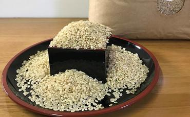 米 令和6年産 加東市産 ヒノヒカリ 玄米 先行予約 10kg[お米 コメ ]