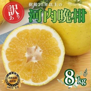 [訳あり]河内晩柑 8kg (発送8/1〜なくなり次第終了) 樹齢25年以上 愛南ゴールド