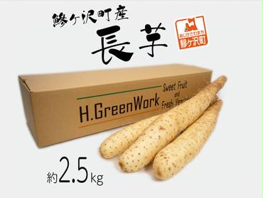 鯵ヶ沢町産 長芋（約2.5kg）