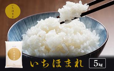 米 令和5年産 いちほまれ 5kg 福井 高級ブランド米 お米 おこめ コメ こめ 白米 精米 ご飯 ごはん 福井県