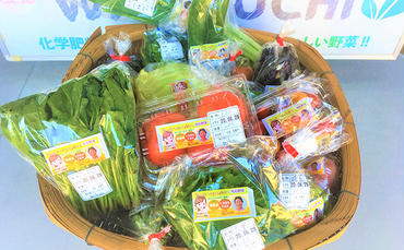 [化学肥料・農薬不使用なので安心・安全]季節の新鮮野菜の詰め合わせ