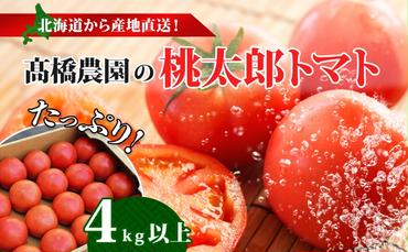 洞爺湖の新鮮野菜「桃太郎トマト」約4kg以上(24～18玉)  ※6月末頃より順次出荷