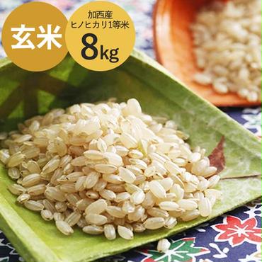 米 令和5年産 加西産 ヒノヒカリ 1等米 8kg（玄米）