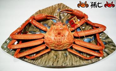 【特選】紅ズワイガニ約1kg（孫七タグ付）