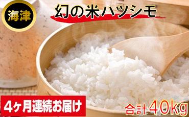 米 定期便 10kg 4ヶ月 幻の米 ハツシモ