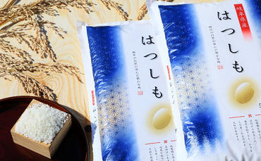池田町農家　令和5年産特別栽培米ハツシモ　5kg 白米