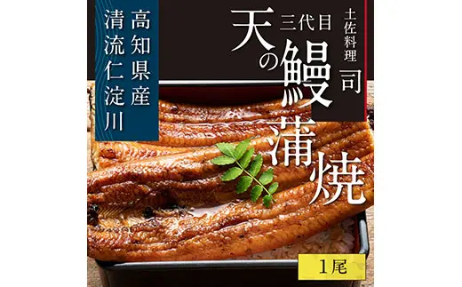 2023年9月以降順次発送）北海道 道東産 アサリ中 6kg (冷凍) 約 300g