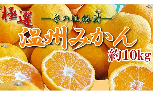 安富ゆずだより Bセット／柚子 加工品 詰合せ 無添加 ジャム シロップ