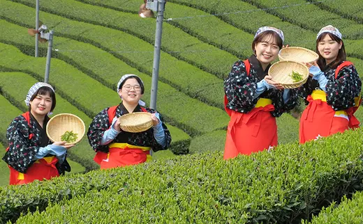 最新作の 新潟県 月岡温泉旅館感謝券（24,000円分） その他 - www.tc