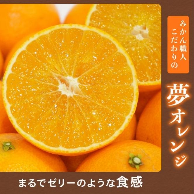 【訳あり】みかん職人の夢オレンジ 小粒っ子 3kg【発送期間：11月中旬～1月下旬】