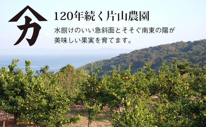 片山農園の淡路島のはっさく2.5kgとキウイ2.0kg【サイズいろいろS～2Lサイズ】