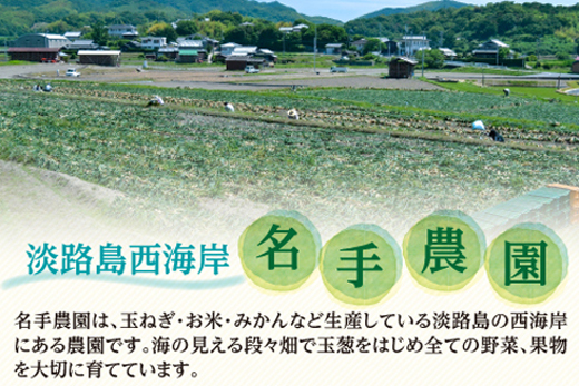 【新たまねぎ】名手農園の淡路島特産季節の農園セット【発送時期：2024年3月～5月頃】