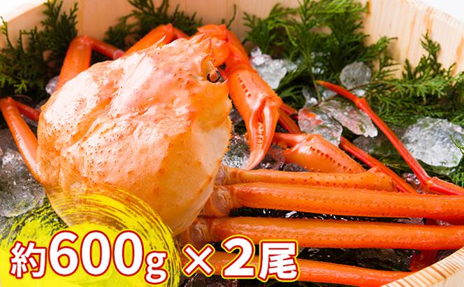 【おすすめ】紅ズワイガニ約600g×2尾【棚辺水産】