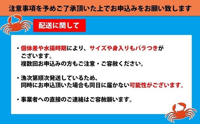 【おすすめ】紅ズワイガニ約600g×2尾【棚辺水産】