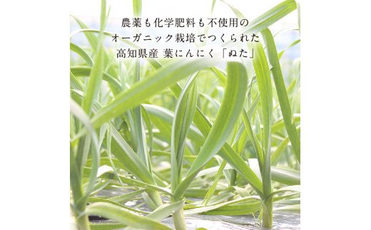 t082kgp　《3ヵ月定期便》数量限定 人気海鮮 芸西村厳選1本釣り本わら焼き「芸西村本気の 極カツオのたたき（3～4人前）有名番組で紹介された有機無添加土佐にんにくぬた・タレ付き」随時出荷 高知県共通返礼品 かつお タタキ 海鮮 藁焼き 鰹 塩 緊急支援 ランキング