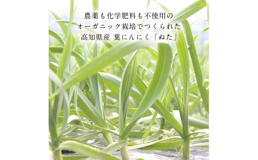 KGP016　緊急支援 人気海鮮 芸西村厳選1本釣り本わら焼き「芸西村本気の極カツオのたたき（6～7人前）有名番組で紹介の有機無添加土佐にんにくぬた・タレ付き」高知県共通返礼品 かつお タタキ 海鮮 藁焼き 鰹 塩 ランキング