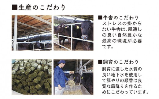 A5・A4ランク　沖縄県産黒毛和牛《山城牛》焼肉用カルビ600g