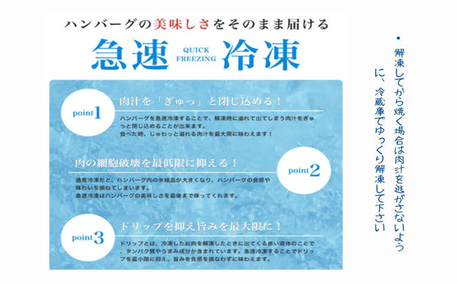 黒毛和牛とあぐー豚の贅沢ハンバーグ　8個入り