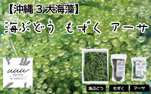 【沖縄3大海藻セット】海ぶどう・もずく・アーサ【2025年4月より順次発送】