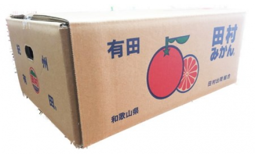 高級ブランド田村みかん ５kg◇ ※2025年11月下旬〜2026年1月下旬頃に順次発送予定