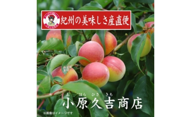 紀州南高梅はちみつ味1kgと梅ドレッシング　美浜町 ※離島への配送不可