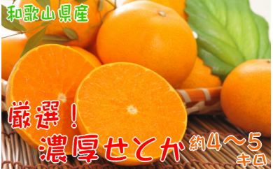 【高級】柑橘の王様　和歌山の濃厚せとか　約4～5kg ※2025年2月下旬～3月上旬頃に順次発送予定 ※沖縄への配送不可