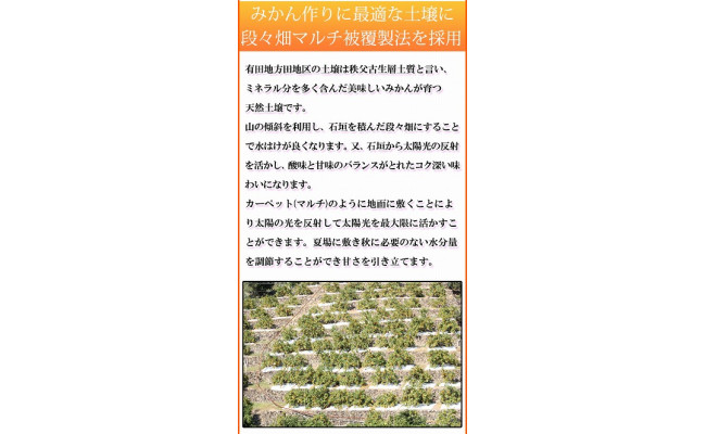 高級ブランド田村みかん　１０kg　大玉サイズ
※2024年11月下旬〜2025年1月下旬頃に順次発送予定