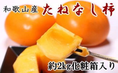 【厳選・産直】和歌山産のたねなし柿2L～4Lサイズ約2kg（化粧箱入り） ※2025年9月中旬～11月上旬頃に順次発送予定 ※離島への配送不可