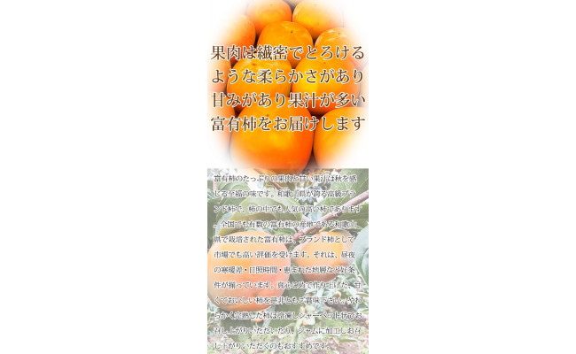 【ご家庭用わけあり】和歌山秋の味覚　富有柿　約7.5kg　※2024年11月上旬～11月下旬頃に順次発送予定