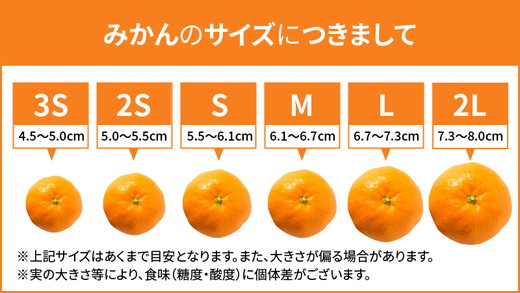 和歌山県産 有田みかん 約3kg 秀品 ※2025年10月中旬～2026年1月下旬頃に順次発送予定 ※北海道・沖縄・離島への配送不可
