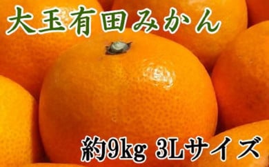 【食べごたえ十分】有田みかん大玉9kg（3Lサイズ・秀品）
※2024年11月中旬～2025年1月中旬頃より順次配送予定