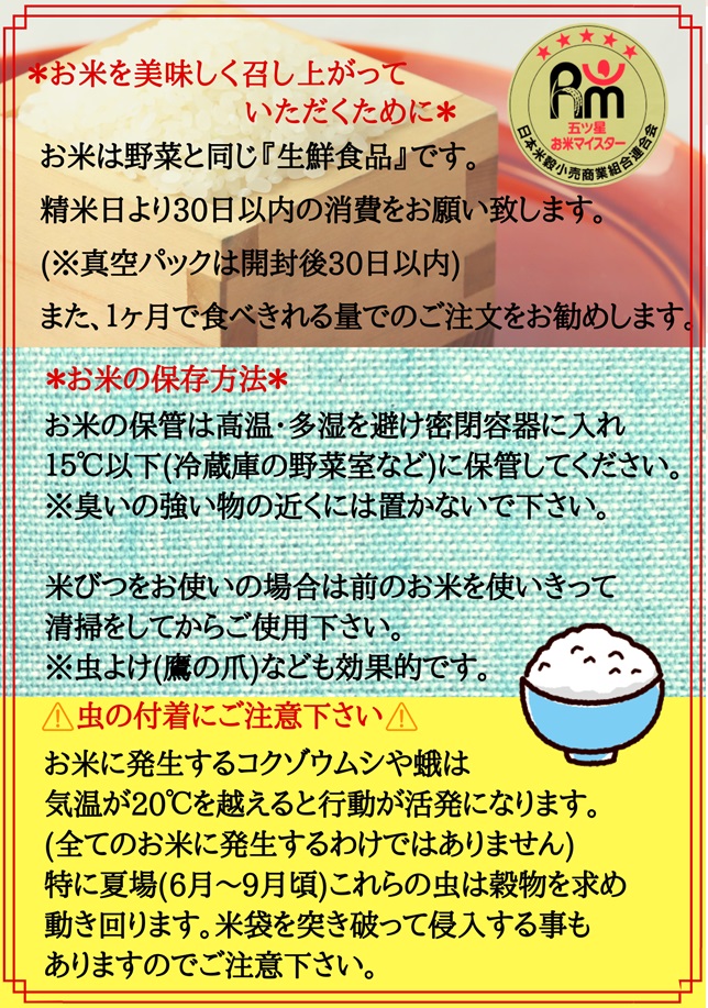 CI667　【６回定期便】さがびより白米１０kg（５kg×２袋）【五つ星お米マイスター厳選！】