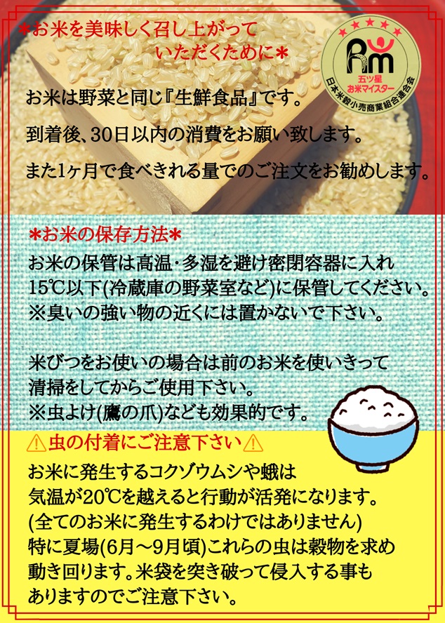 CI669　【玄米】さがびより１０kg（５kg×２袋）【３回定期便】【五つ星お米マイスター厳選！】