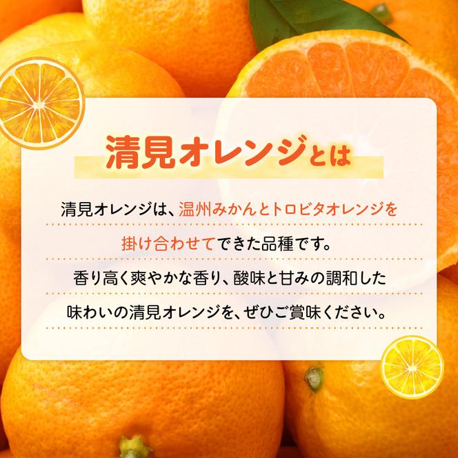 ZN6001n_【先行予約】和歌山県有田産 完熟 清見オレンジ 5kg ひとつひとつ丁寧に厳選！生産者から直送