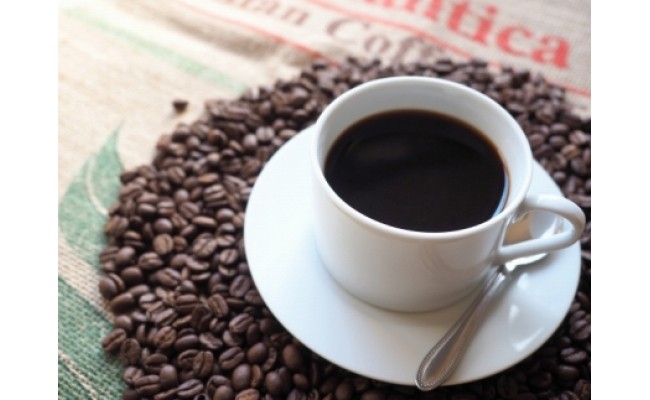 ZD6081n_自家焙煎コーヒー豆（ストロング・ヨーロピアン）各300gとカリタ102コーヒーフイルター100枚セット