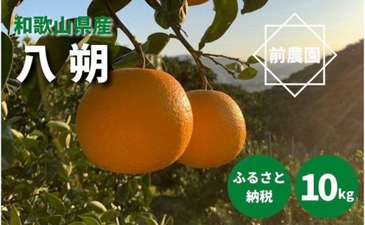 BL6010n_【産地直送】和歌山県産 八朔 10kg (M～3Lサイズ)