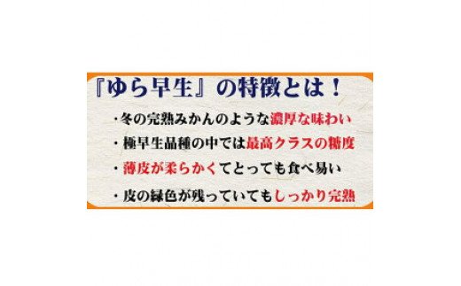 CC6200_濃厚な味わい ゆら早生みかん 10kg (SS～2Lサイズ混合) 希少品種 有機質肥料100％