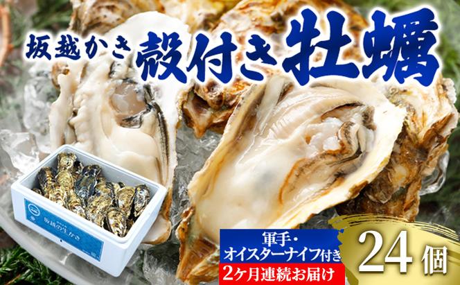  定期便 牡蠣 坂越かき 殻付き牡蠣 24個 オイスターナイフ付き【2ヵ月連続お届け】[ 生牡蠣 かき カキ 殻付 生食 冬牡蠣 ]