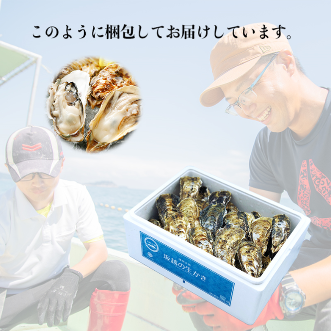  定期便 牡蠣 坂越かき 殻付き牡蠣 24個 オイスターナイフ付き【3ヵ月連続お届け】[ 生牡蠣 かき カキ 殻付 生食 冬牡蠣 ]