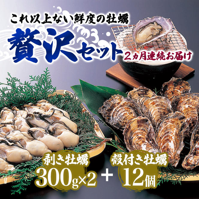  定期便 牡蠣 坂越かき 剥き牡蠣 300g×2、殻付き牡蠣 12個 オイスターナイフ付き【2ヵ月連続お届け】[ 生牡蠣 かき カキ 生食 冬牡蠣 ]