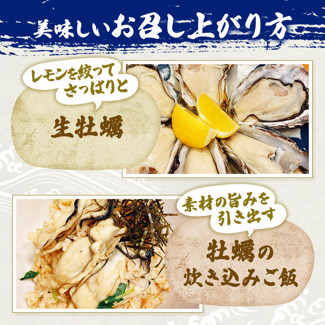  定期便 牡蠣 坂越かき 剥き牡蠣 300g×2、殻付き牡蠣 12個 オイスターナイフ付き【2ヵ月連続お届け】[ 生牡蠣 かき カキ 生食 冬牡蠣 ]