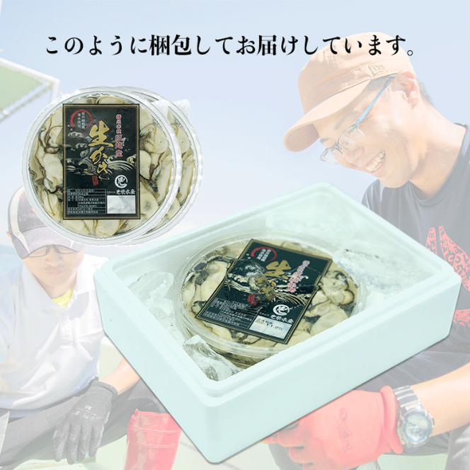  定期便 牡蠣 坂越かき 剥き牡蠣 500g×2【3ヵ月連続お届け】[ 生牡蠣 かき カキ むき身 剥き身 生食 冬牡蠣 ]